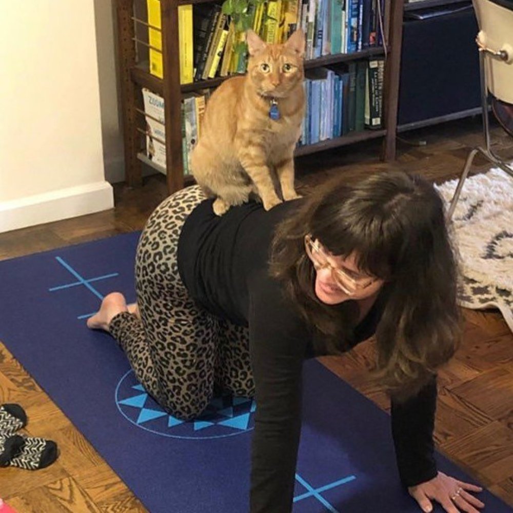 Meet your Posher, Lindsay